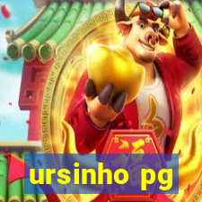 ursinho pg